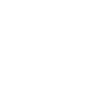 SDVOSB - White Cropped